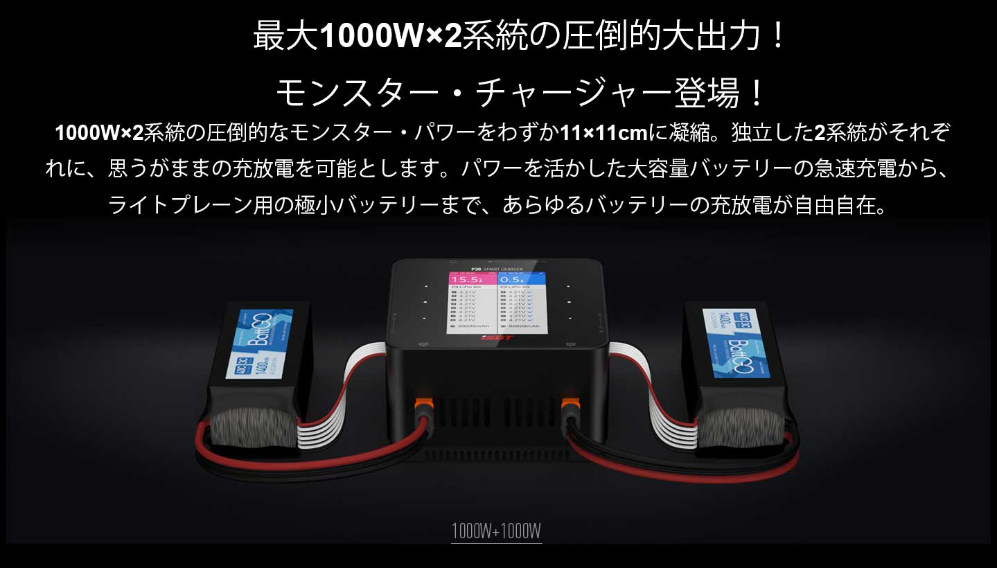 G-FORCE 1000W/30A DC充放電器（2系統） P30 Smart Charger　GDT112