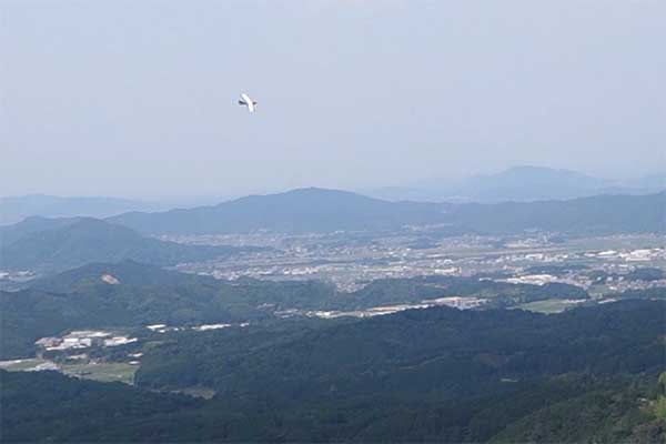 PILOT ファゲイラ（無尾翼機） 11326