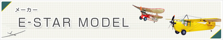 E-STAR MODEL
