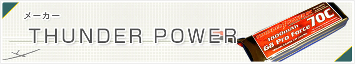 サンダーパワー　THUNDERPOWER　ラジコン飛行機